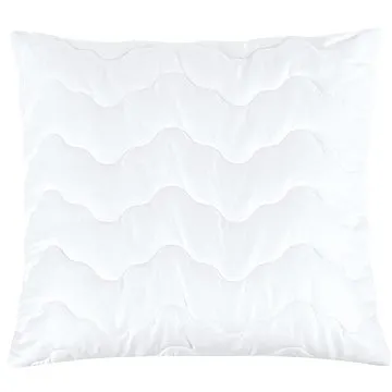 Bellatex Výplňkový polštář s proševem - 50 × 50 cm 400g - bílá (2427)