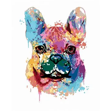 Malování podle čísel - Malovaný buldoček (HRAmal00035nad)