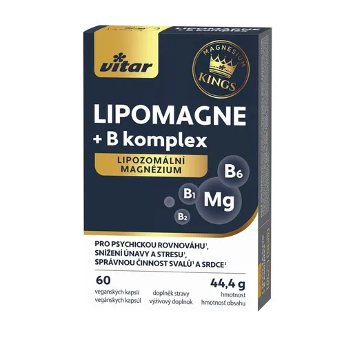 Vitar LIPOMAGNE + B komplex KINGS 60 kapslí