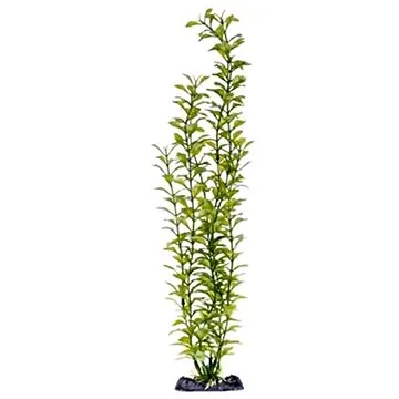 Penn Plax Blooming Ludwigia Green Super 45,5 cm (0030172055607)