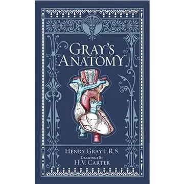 Gray's Anatomy (Barnes