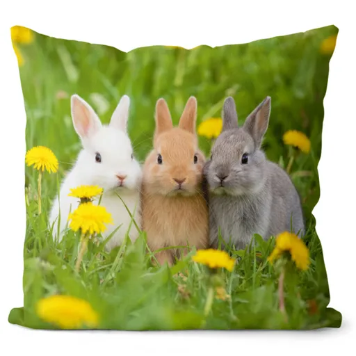 Polštář Tři králíčci (Velikost: 40 x 40 cm)