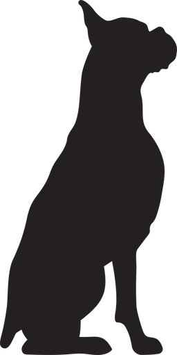 Vsepropejska Boxer 2 dřevěná dekorace na zeď Rozměr (cm): 38 x 19