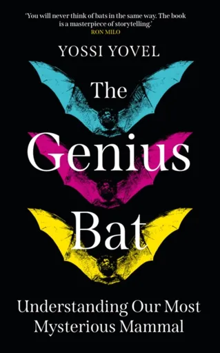 The Genius Bat - Yovel Yossi