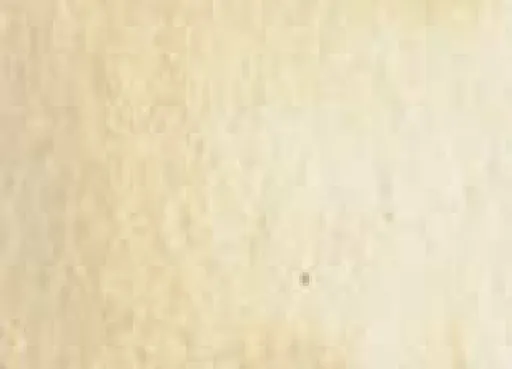 Akvarelová barva DS 5ml – 009 Buff Titanium