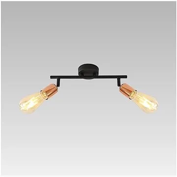 Prezent 75561 - Stropní bodové svítidlo DARIA 2xE27/40W/230V (96346)