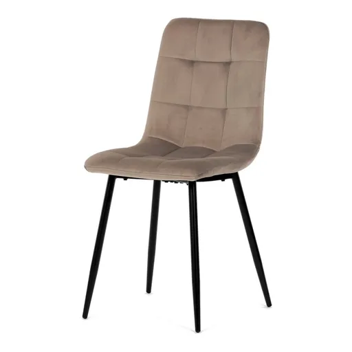 Jídelní židle CT-281 samet Autronic