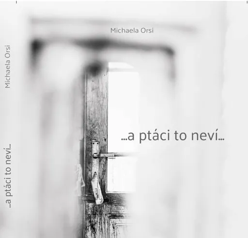 ...a ptáci to neví... - Michaela Orsi