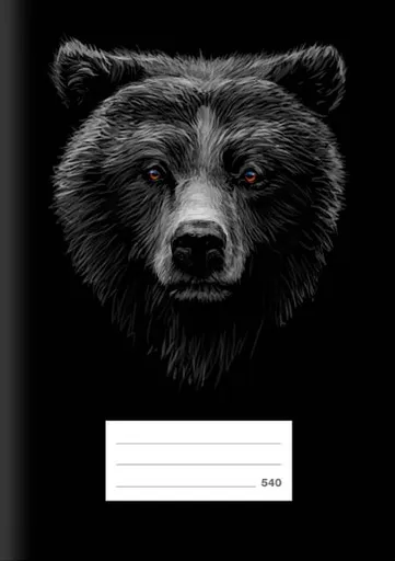 Školní sešit LUX A5 540