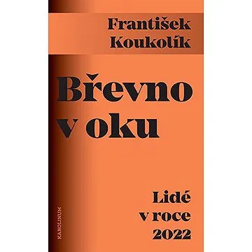 Břevno v oku (9788024651866)