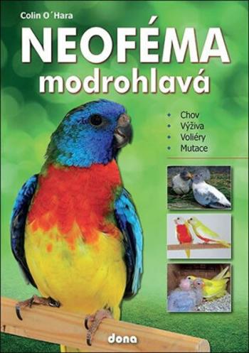 Neoféma modrohlavá - chovatelská příručka - Colin O'Hara