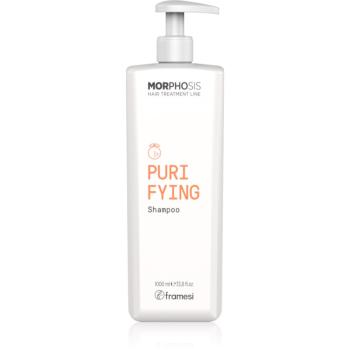 Framesi Morphosis Purifying čistiaci šampón proti lupinám 1000 ml