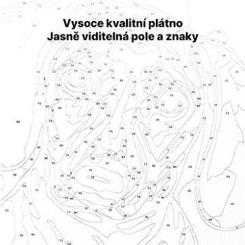 Malování podle čísel - Domek u jezera pod horami (HRAmal00926nad)