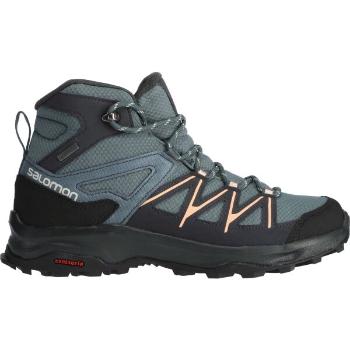 Salomon DAINTREE MID GTX W Dámská turistická obuv, šedá, velikost 40