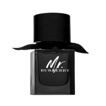 Burberry Mr. Burberry Eau de Parfum férfiaknak 50 ml