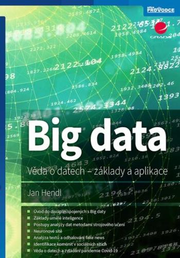 Big data - Jan Hendl - e-kniha