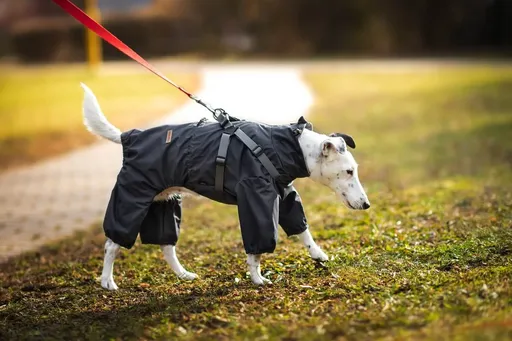 Vsepropejska Nelly pláštěnka do deště - nepromokavá kombinéza Barva: Šedá, Délka zad (cm): 41, Obvod hrudníku: 32 - 56 cm