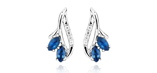 Silver Cat Módní náušnice se zirkony a safírovým sklem SC386