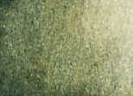 Akvarelová barva DS 5ml – 109 Undersea Green