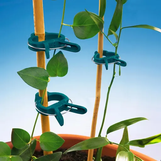 Die moderne Hausfrau Vázací sponky na rostliny, 20 ks