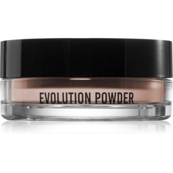 Danessa Myricks Beauty Evolution Powder sypký transparentní pudr odstín #2 11 g