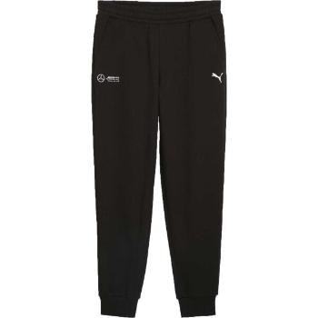 Puma MERCEDES-AMG PETRONAS F1 ESSENTIALS PANTS Pánské tepláky, černá, velikost