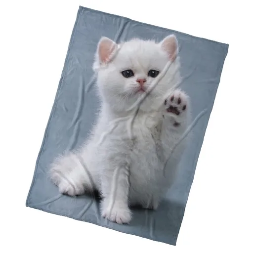 BedTex Dětská deka Koťátko Dej Pac, 150 x 200 cm