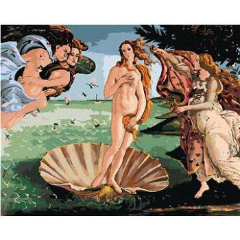 Diamondi - Diamantové malování - ZROZENI VENUŠE (S. BOTTICELLI), 40x50 cm, bez rámu a bez vypnutí pl (606616A)