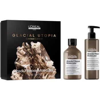 L’Oréal Professionnel Serie Expert Absolut Repair Molecular dárková sada pro poškozené vlasy