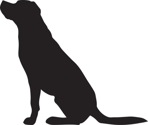 Vsepropejska Labrador 3 dřevěná dekorace na zeď Rozměr (cm): 32 x 38