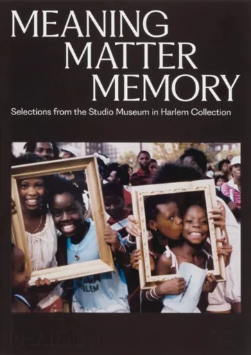 Meaning Matter Memory - Connie H. Choi, Thelma Golden, Mary Schmidt Campbell, Lowery Stokes Sims, Kinshasha Holman-Conwill