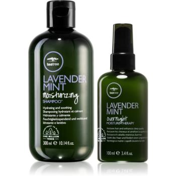 Paul Mitchell Lavender Mint Save on Duo dárková sada pro suché a nepoddajné vlasy