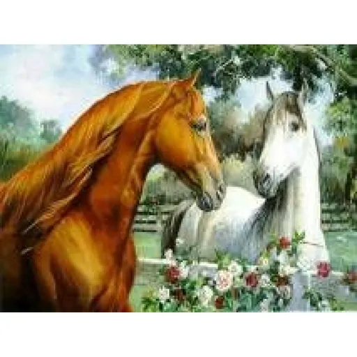 Diamantové malování Koně 30 x 40 cm