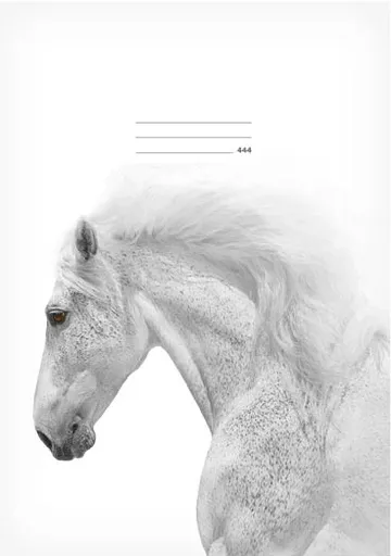 Školní sešit LUX A4 444, Kůň