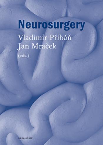 Neurosurgery - Jan Mraček, Vladimír Přibáň - e-kniha