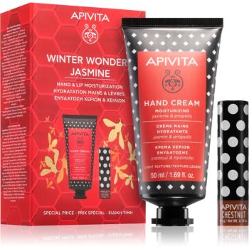 Apivita Hand Care Winter Wonders Jasmine vánoční dárková sada