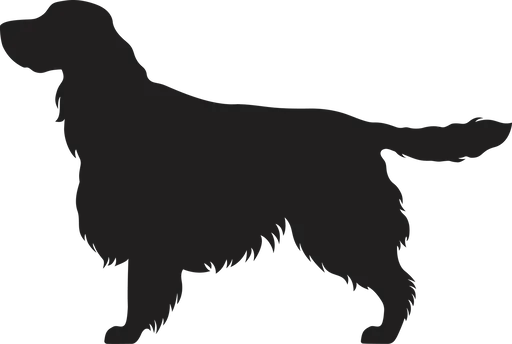 Vsepropejska Anglický špringeršpaněl dřevěná dekorace na zeď Rozměr (cm): 25 x 38