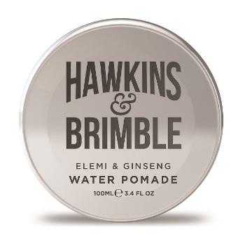 Hawkins & Brimble Pomáda na vlasy pro muže 100 ml