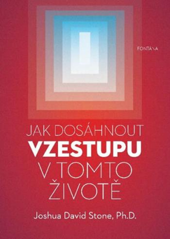 Jak dosáhnout vzestupu v tomto životě - Joshua David Stone