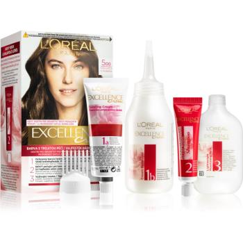 L’Oréal Paris Excellence Creme barva na vlasy odstín 300