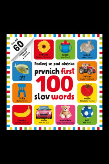 Podívej se pod okénko - prvních 100 slov - first 100 words