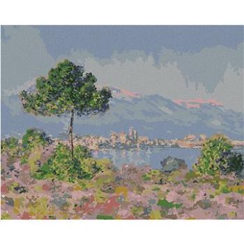 Diamondi - Diamantové malování - ANTIBES PŘI POHLEDU Z PLATEAU NOTRE-DAME (CLAUDE MONET), 40x50 cm,  (606451A)