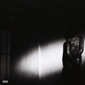 Destroy Lonely - No Stylist (LP)