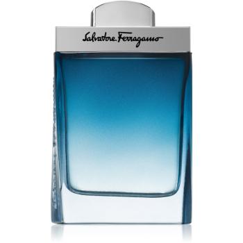 Ferragamo Subtil Pour Homme toaletní voda pro muže 100 ml