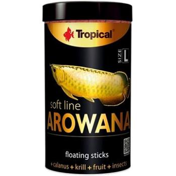 Tropical Arowana L 100 ml 32 g (5900469673331)