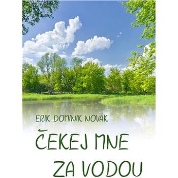 Čekej mne za vodou (999-00-020-6199-8)