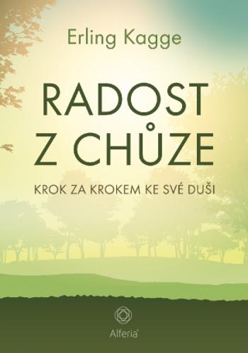 Radost z chůze - Erling Kagge - e-kniha