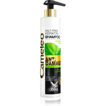 Delia Cosmetics Cameleo BB keratinový šampon pro poškozené vlasy 250 ml