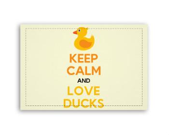 Fotoobraz 90x60 cm střední  Keep calm and love ducks