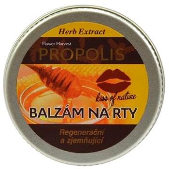 VIVACO Herb Extract - balzám na rty s Propolisem 25 g  (8594162051069)